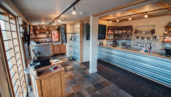 2020 Solutions (Baker Bear) logo