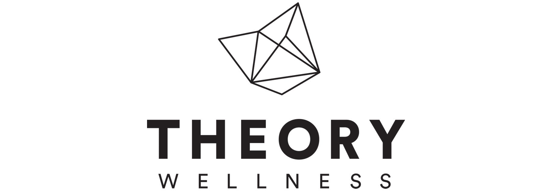 What is the theory of wellness?